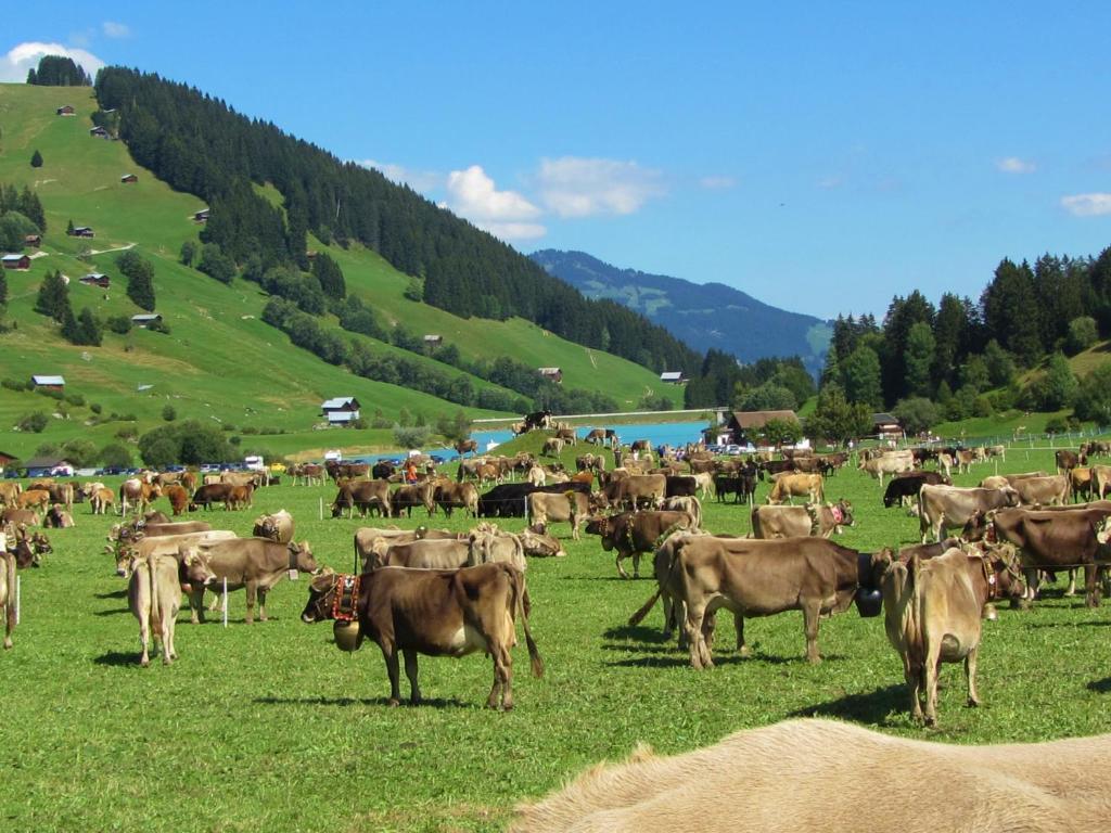 Hotel Kistenpass Breíl Kültér fotó