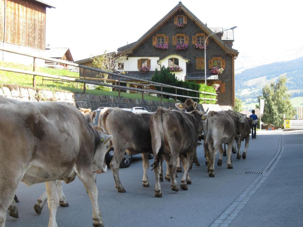 Hotel Kistenpass Breíl Kültér fotó